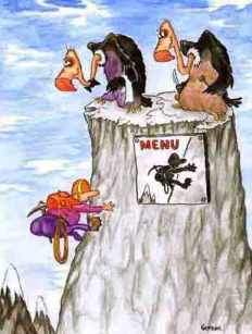 griffon-vulture-funny-cartoon