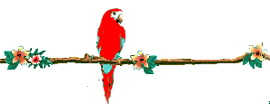parrot-animated
